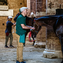 palio 2022-6